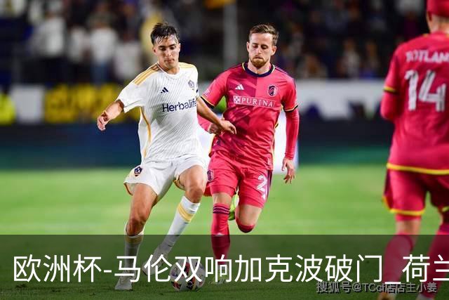 欧洲杯-马伦双响加克波破门 荷兰3-0罗马尼亚